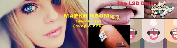дживик Зерноград