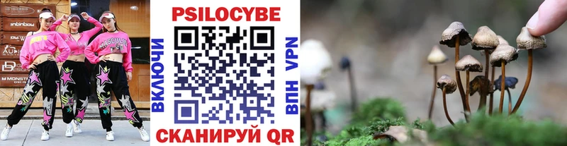 где купить наркотик  Спас-Деменск  Галлюциногенные грибы Magic Shrooms 